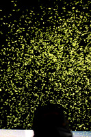DSC_0180E_1